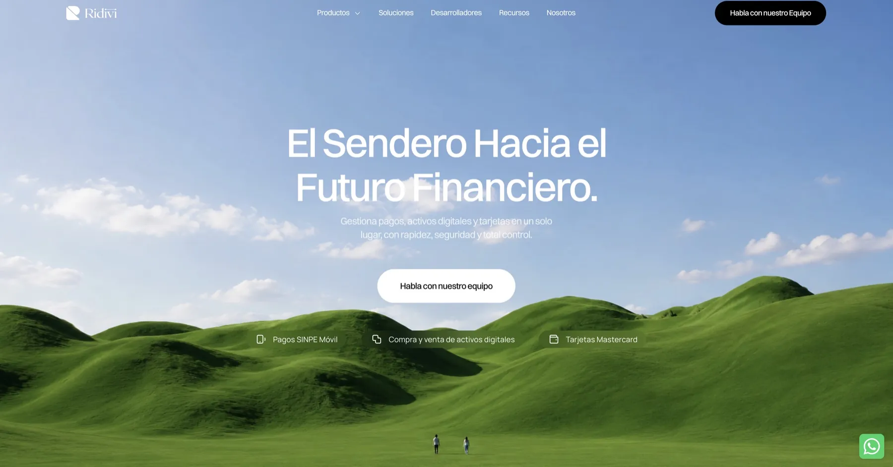 Web Design & Development